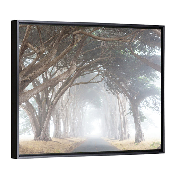 Misty Cypress Tunnel Wall Art as a framed canvas