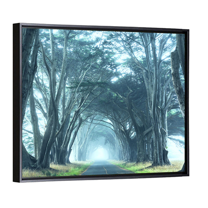 Foggy Cypress Tree Tunnel Wall Art as a framed canvas