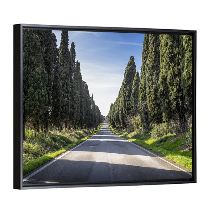 Avenue of Cypress Trees Wall Art as a framed canvas