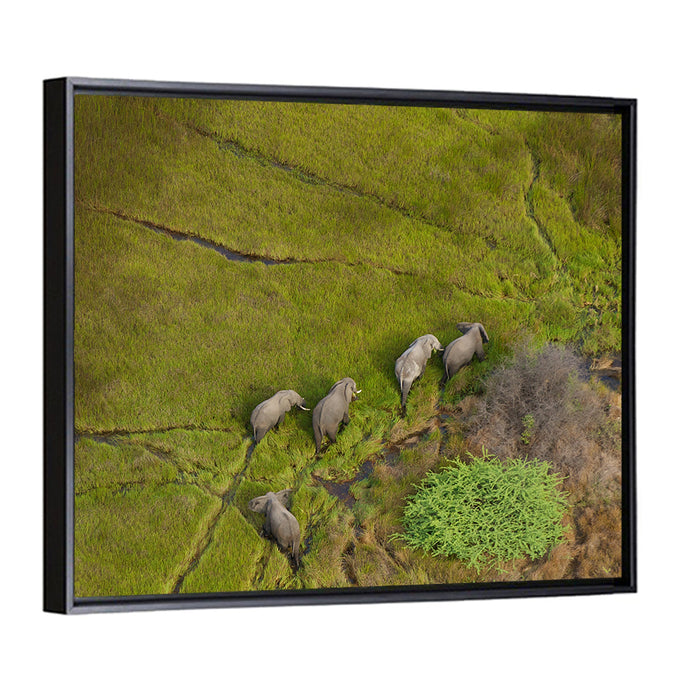 Aerial Herd of Elephants Wall Art as a framed canvas