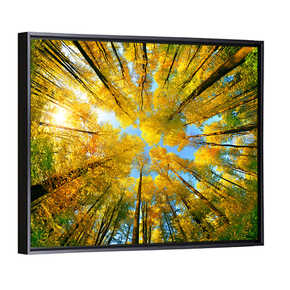Golden Autumn Canopy Wall Art