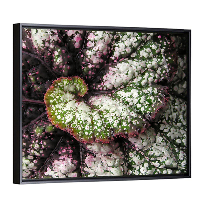 Begonia Leaf Spiral Geometry Wall Art as a framed canvas