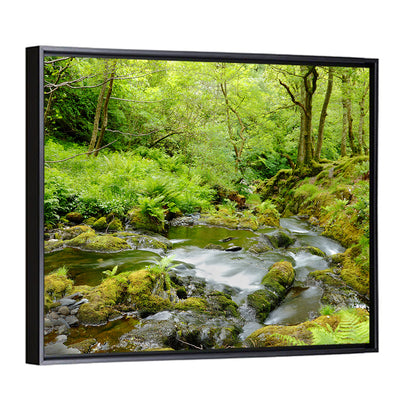 Forest Stream Wall Art