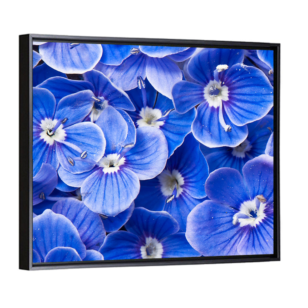 Blue Wildflower Close-up Wall Art