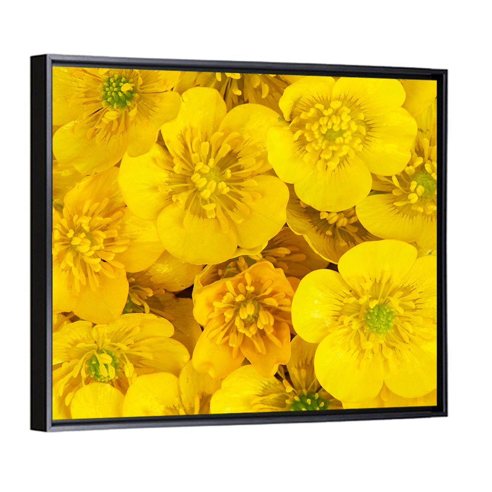 Yellow Buttercup Close-up Wall Art