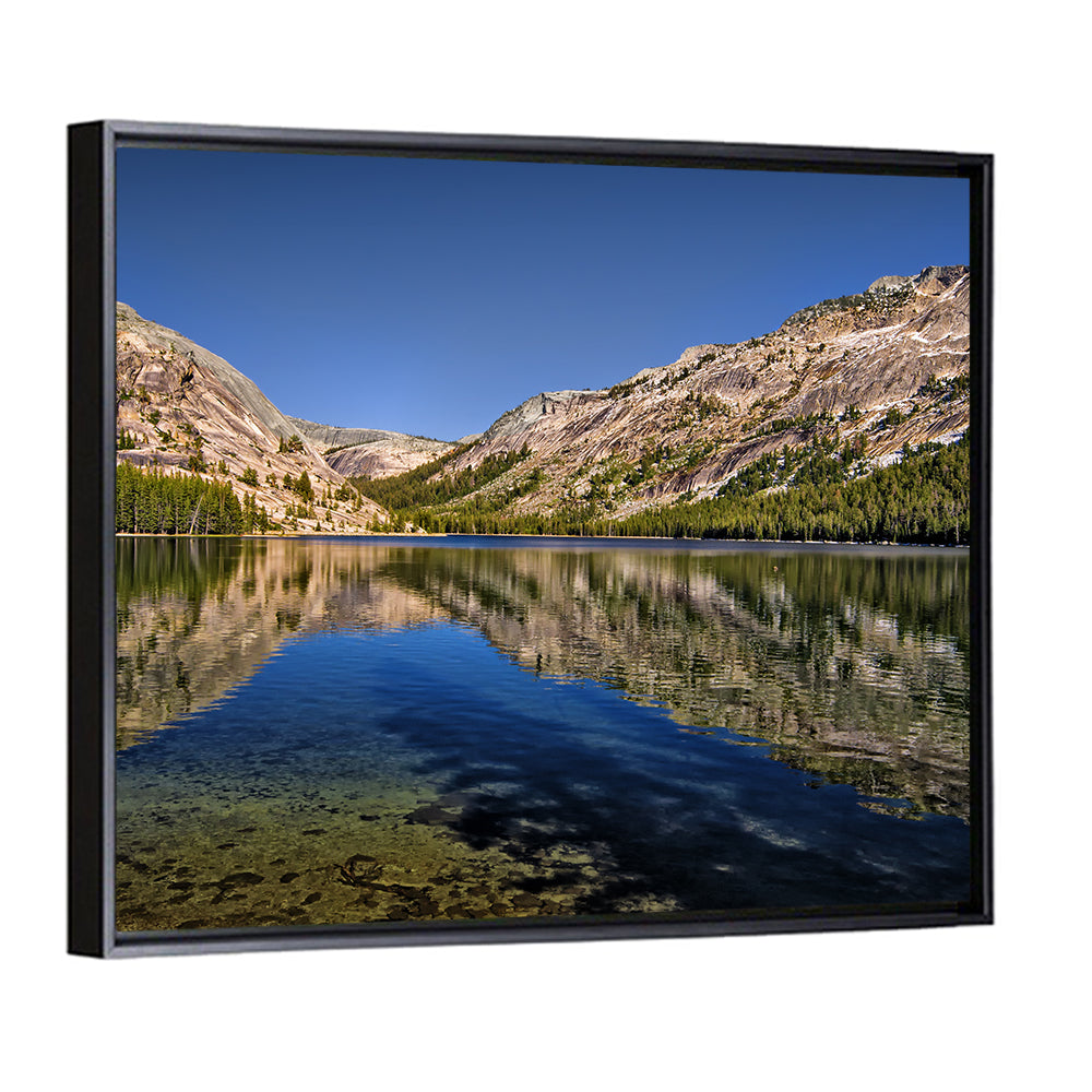 Tenaya Lake Wall Art