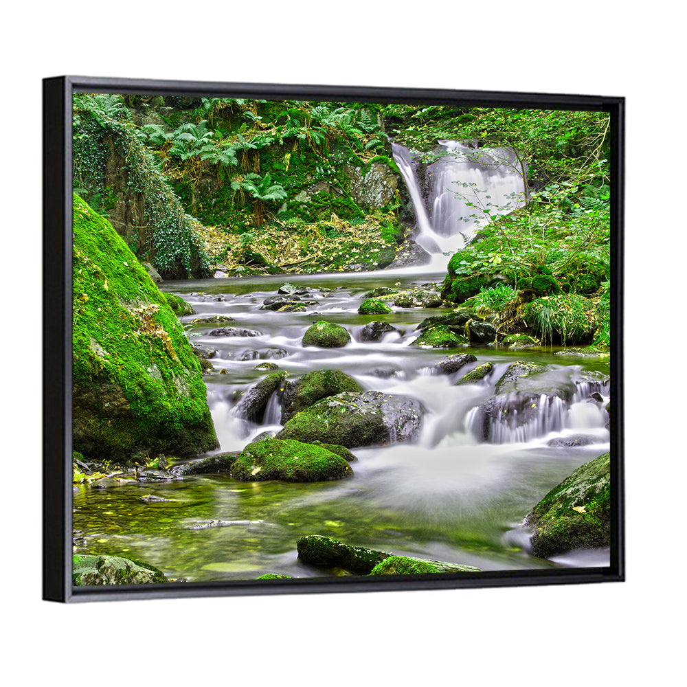 Mossy Forest Stream Wall Art