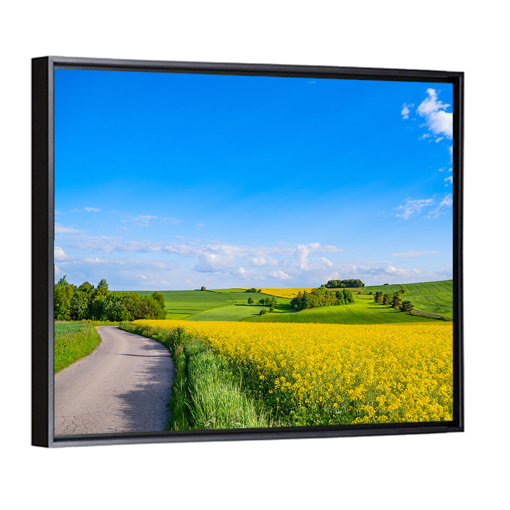 Rapeseed Field Road Under Blue Sky Wall Art