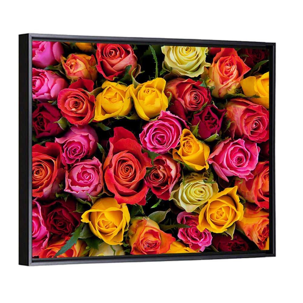 Multicolored Roses Close-up Wall Art