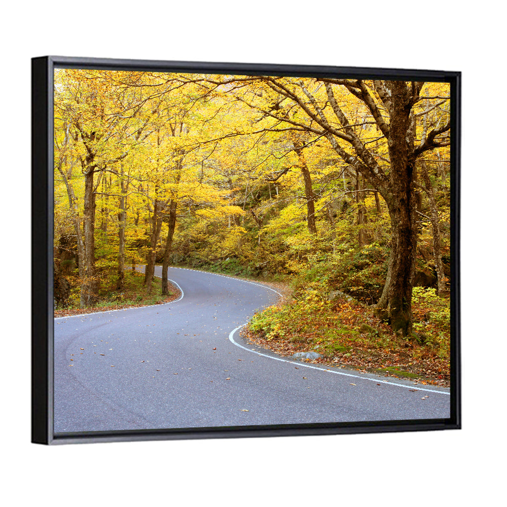 Winding Road Through Autumn Foliage Wall Art
