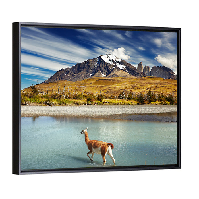 Torres Del Paine, Patagonia Wall Art as a framed canvas