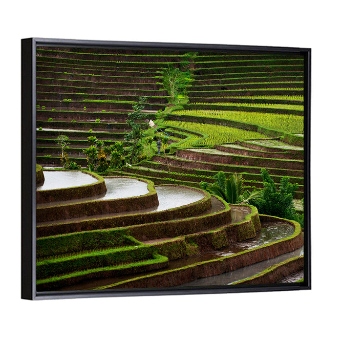 Lush Rice Terraces Wall Art as a framed canvas