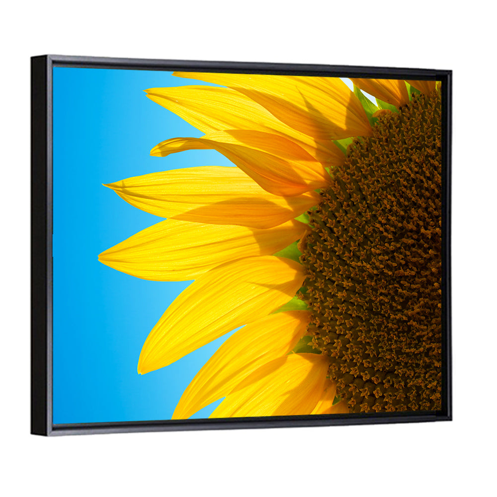 Sunflower Close-up Wall Art