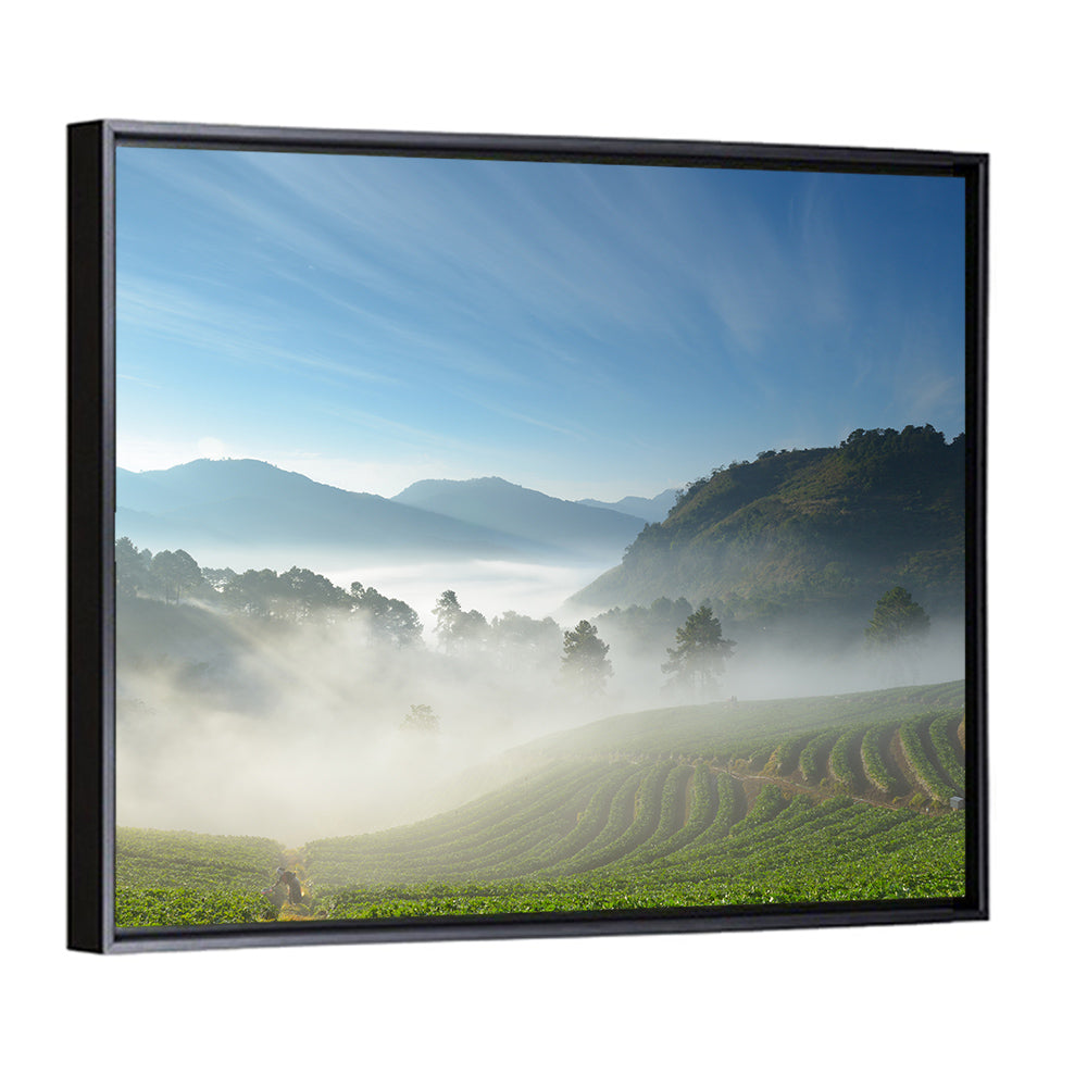 Sunlit Terraced Tea Hills Wall Art