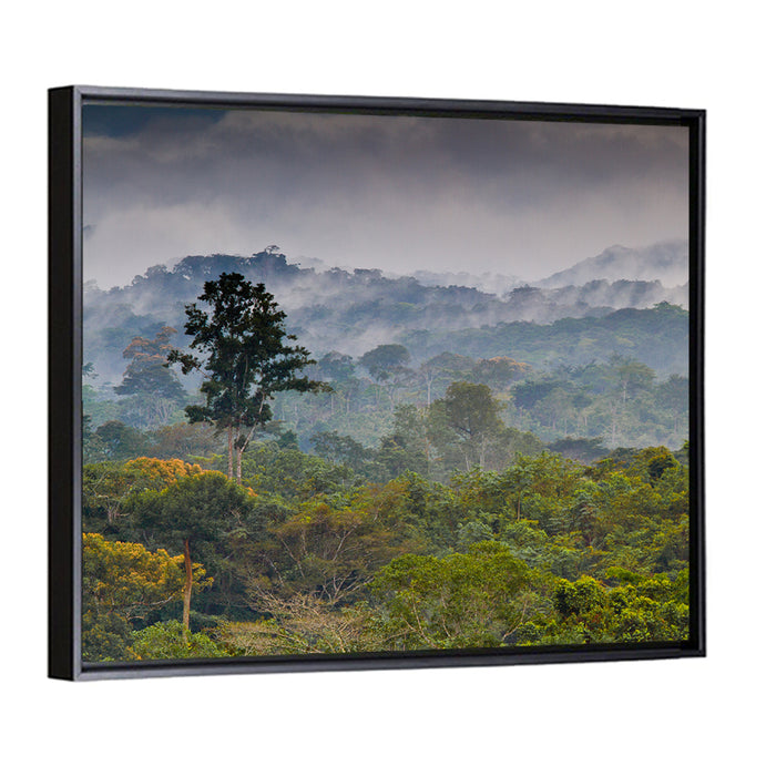 Guinea Rainforest Landscape Wall Art as a framed canvas