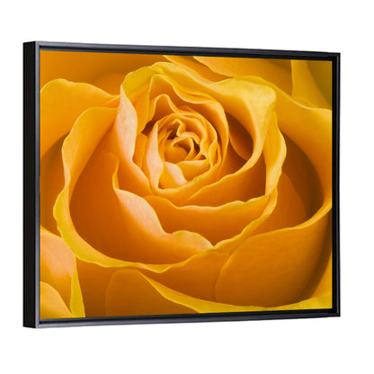 Yellow Rose Wall Art