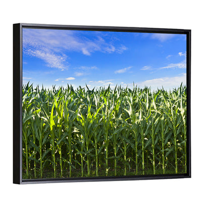 Green Corn Field Wall Art