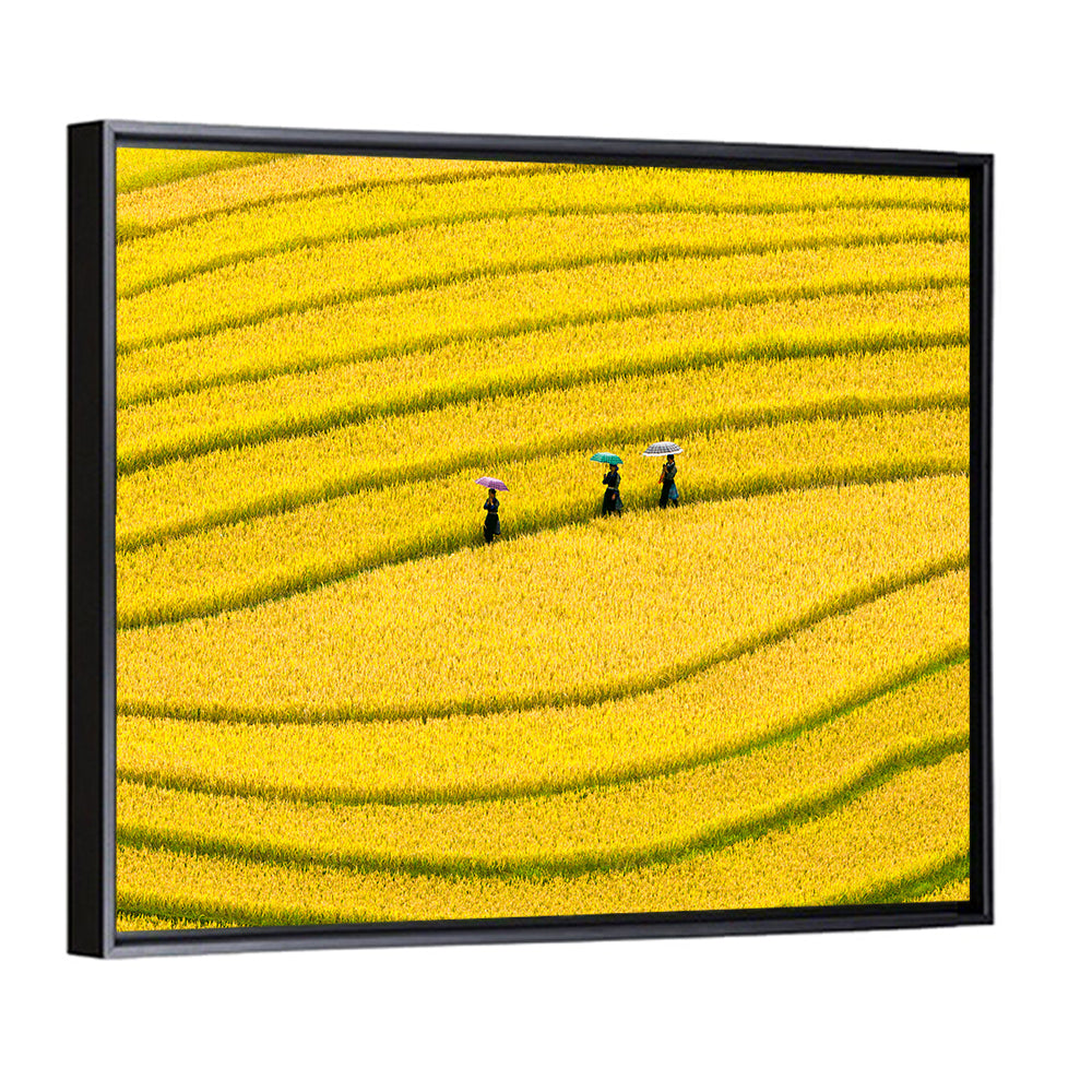 Terraced Rice Fields Wall Art