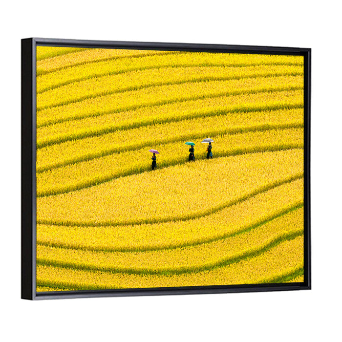 Golden Rice Terraces with Umbrellas Wall Art as a framed canvas