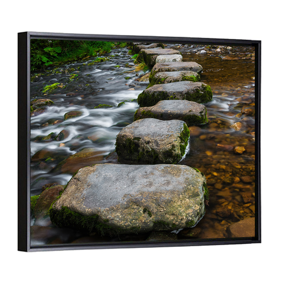 Mossy Stepping Stones Over Stream Wall Art