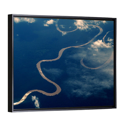 Amazon River Aerial Wall Art