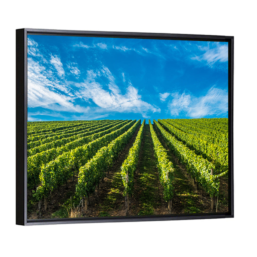 Luxembourg Vineyards Wall Art