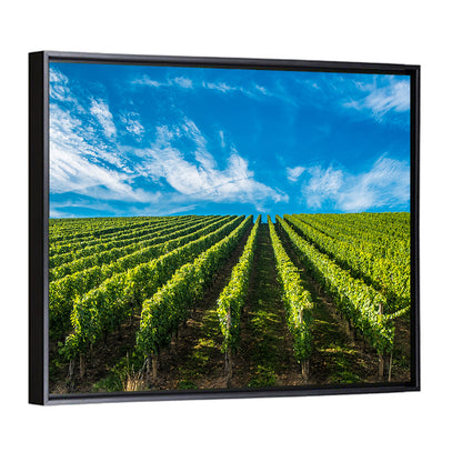 Luxembourg Vineyards Wall Art
