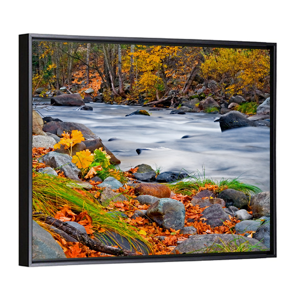 Golden Autumn Forest Creek Wall Art