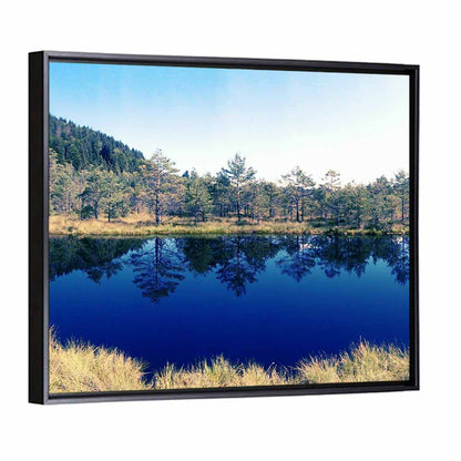 Tundra Reservation Park Lake Wall Art