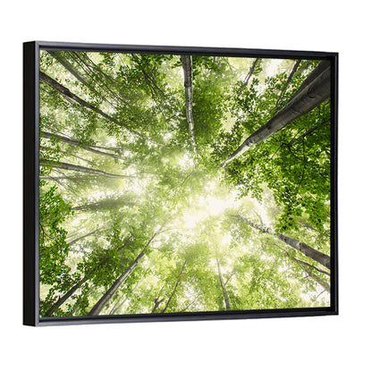 Misty Spring Forest Wall Art