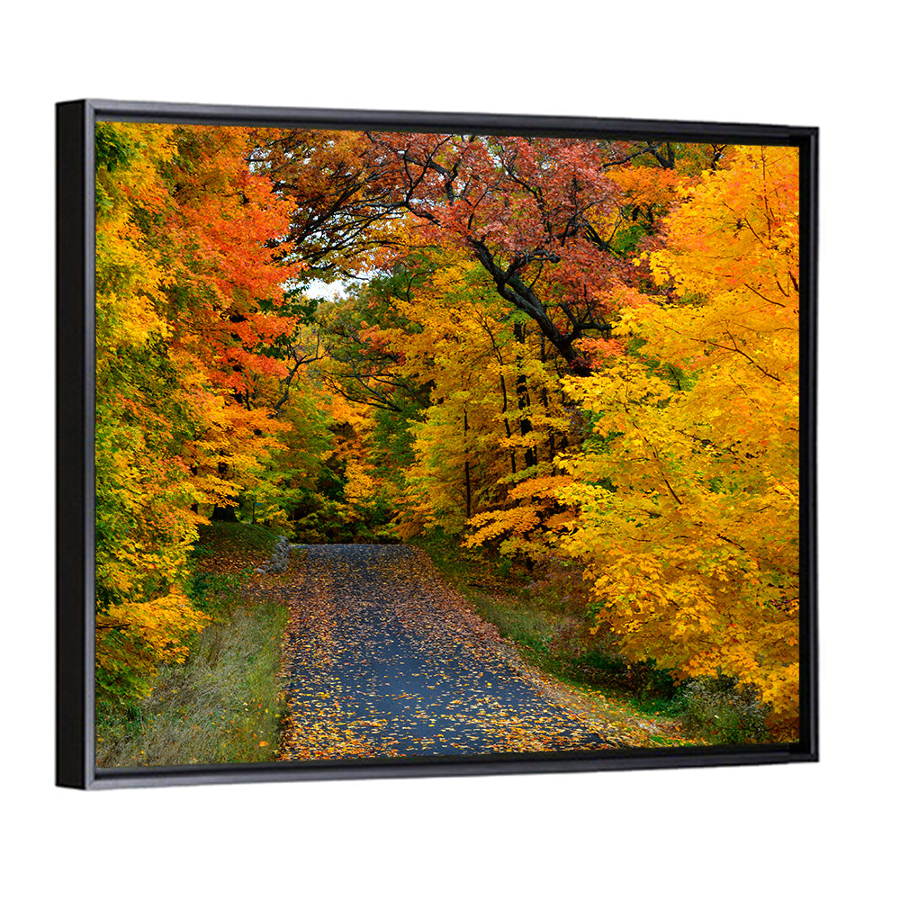Autumn Road Through Wisconsin Park Wall Art