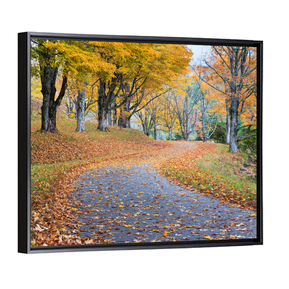 Autumn Leaves on Road Wall Art