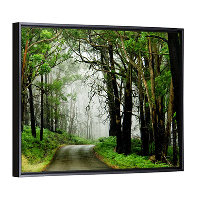 Foggy Forest Road Wall Art