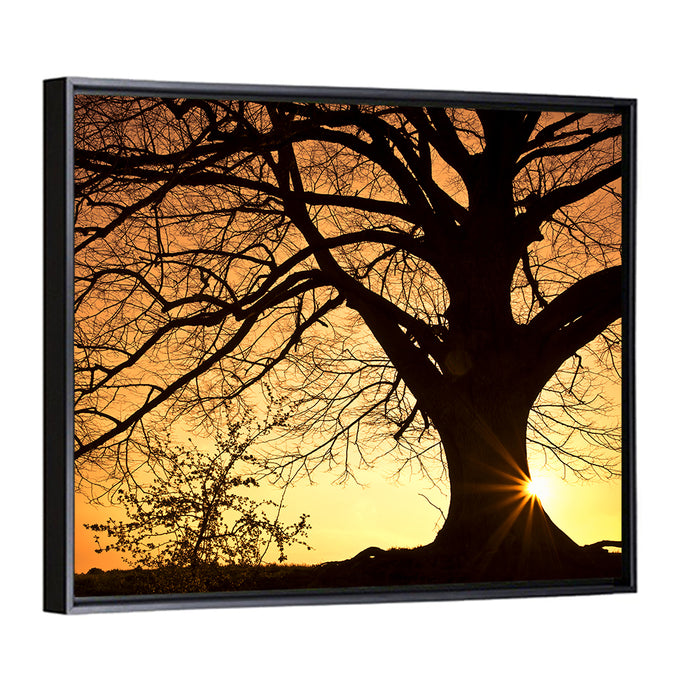 Willow Tree Sunset Wall Art as a framed canvas