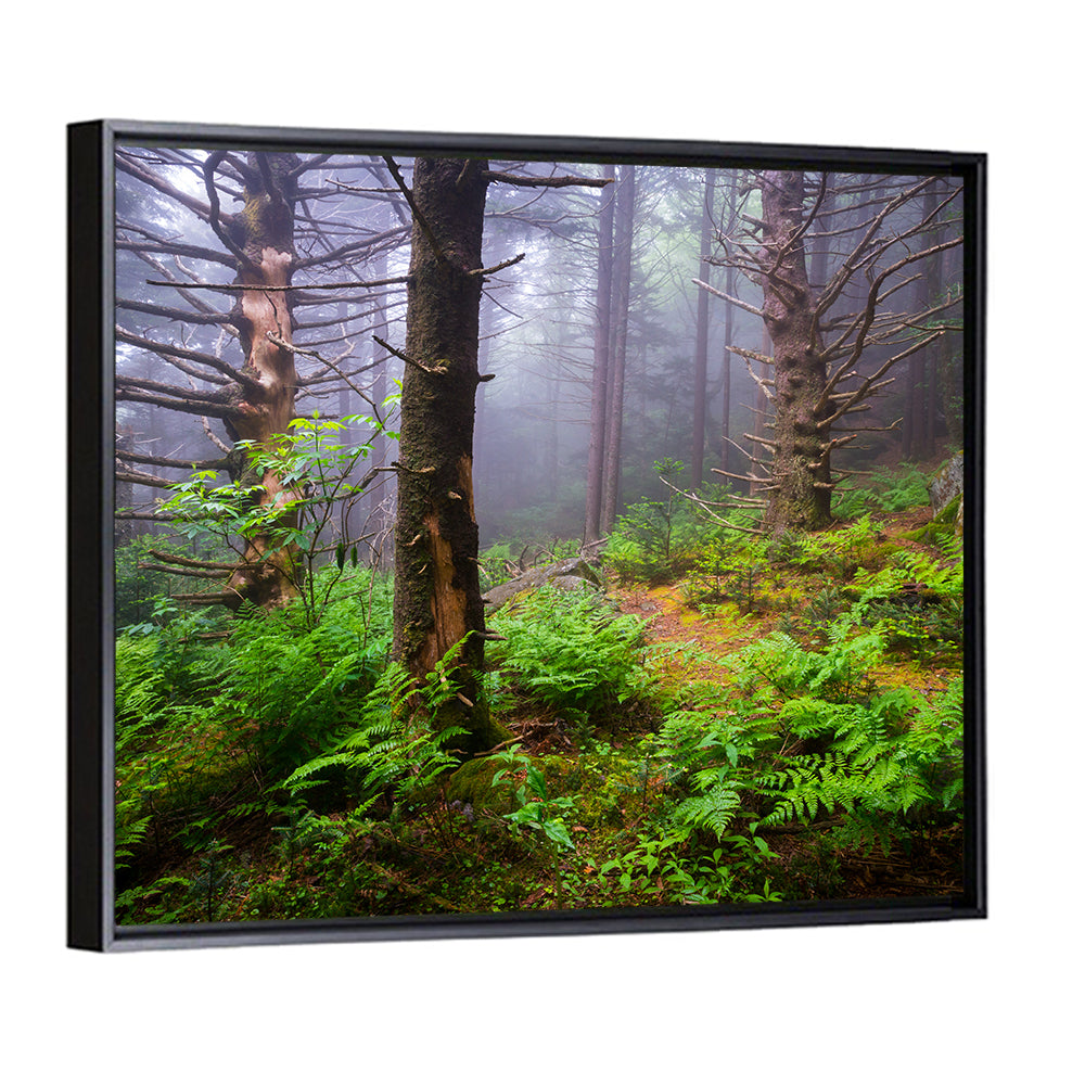 Forest Hiking Trail Wall Art