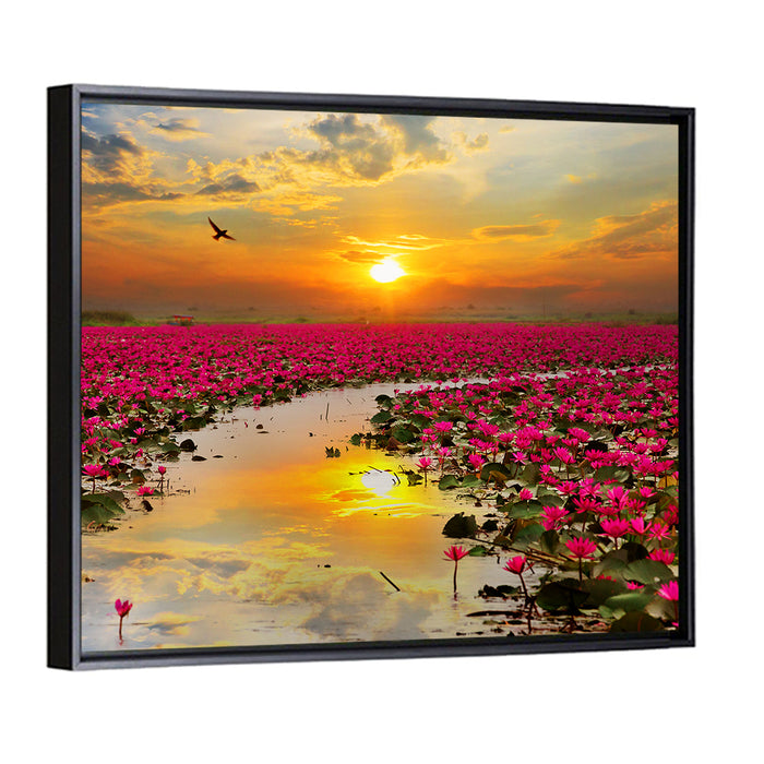 Golden Hour Lotus Field Wall Art as a framed canvas