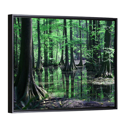 Congaree Swamp Columbia Wall Art