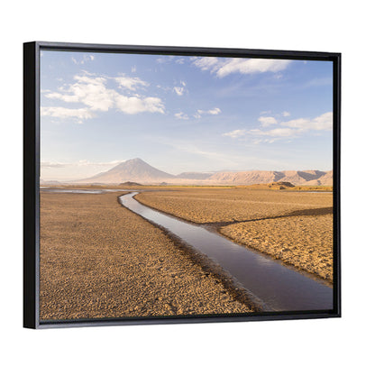 Lake Natron Wall Art