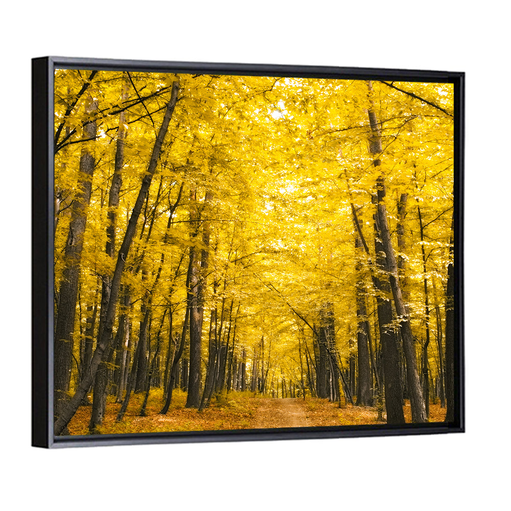 Yellow Autumn Forest Wall Art