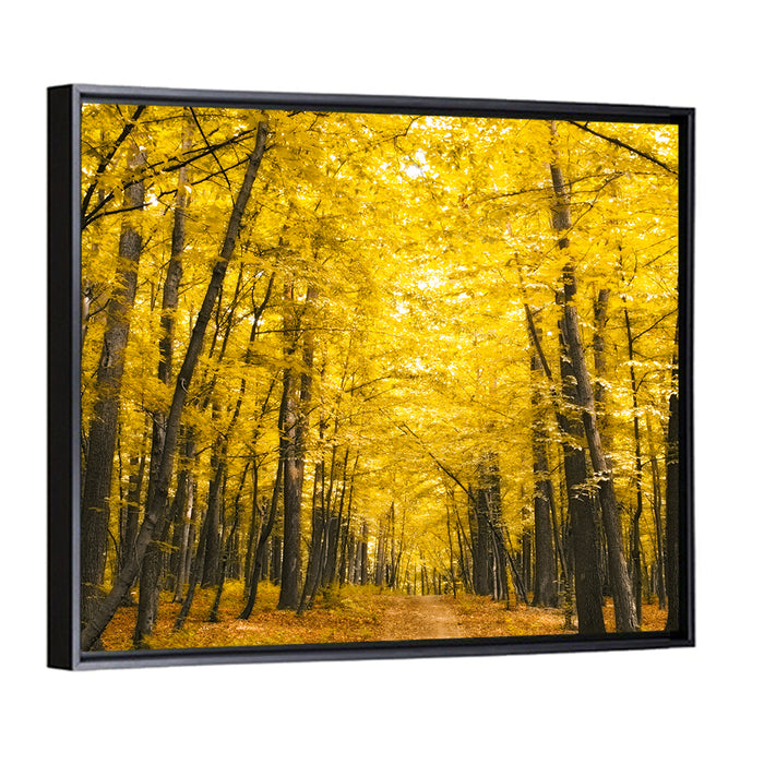 Yellow Autumn Forest Path Wall Art as a framed canvas
