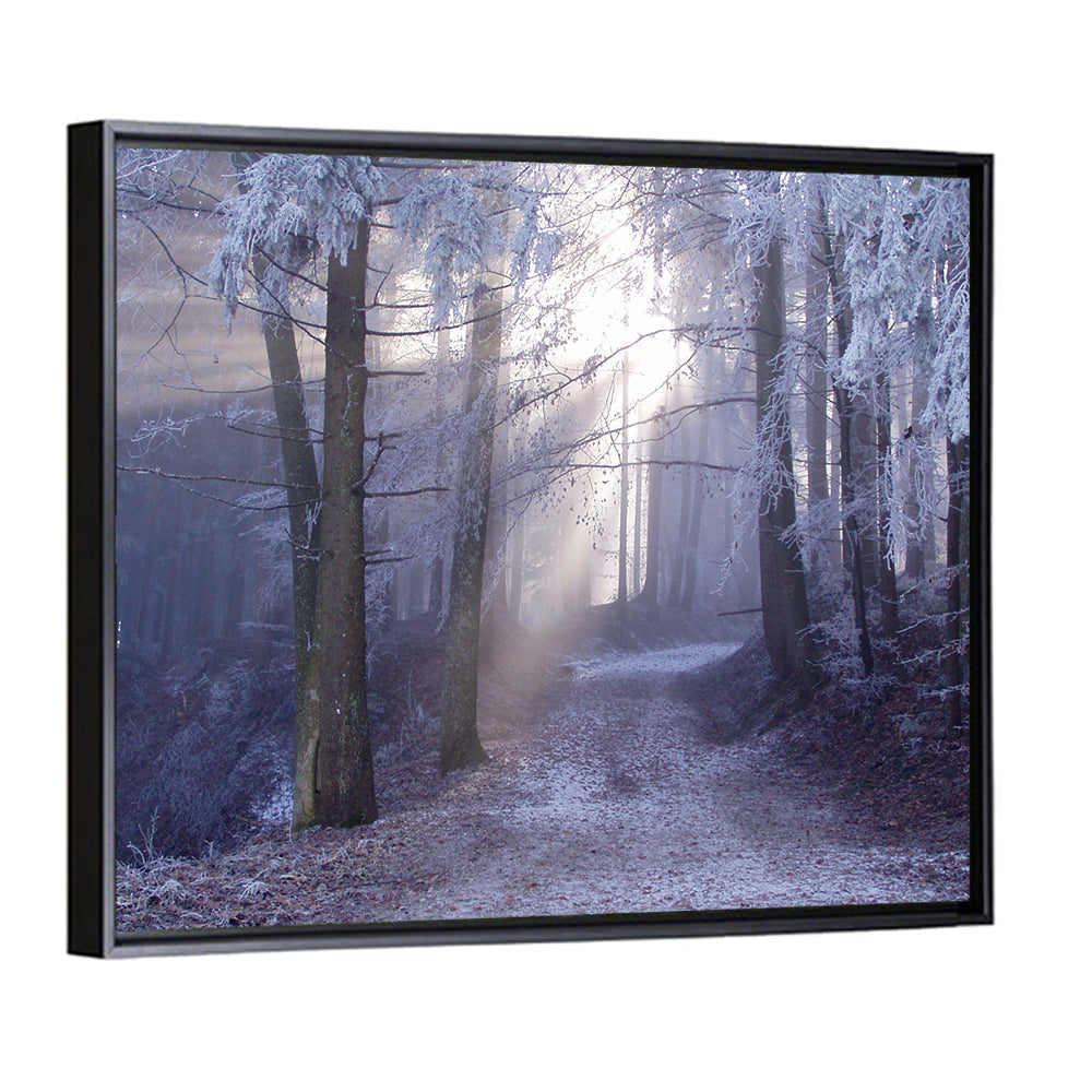 Frosted Forest Path at Dawn Wall Art