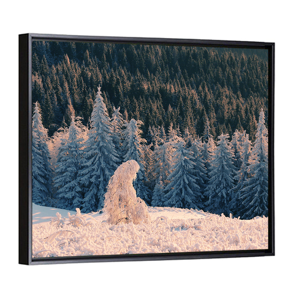 Carpathian Forest at Golden Hour Wall Art