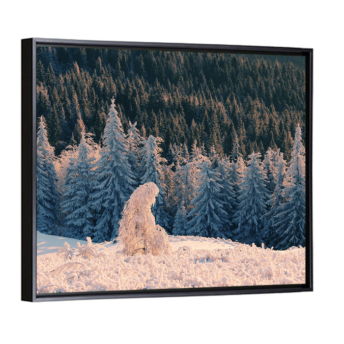 Carpathian Forest at Golden Hour Wall Art as a framed canvas