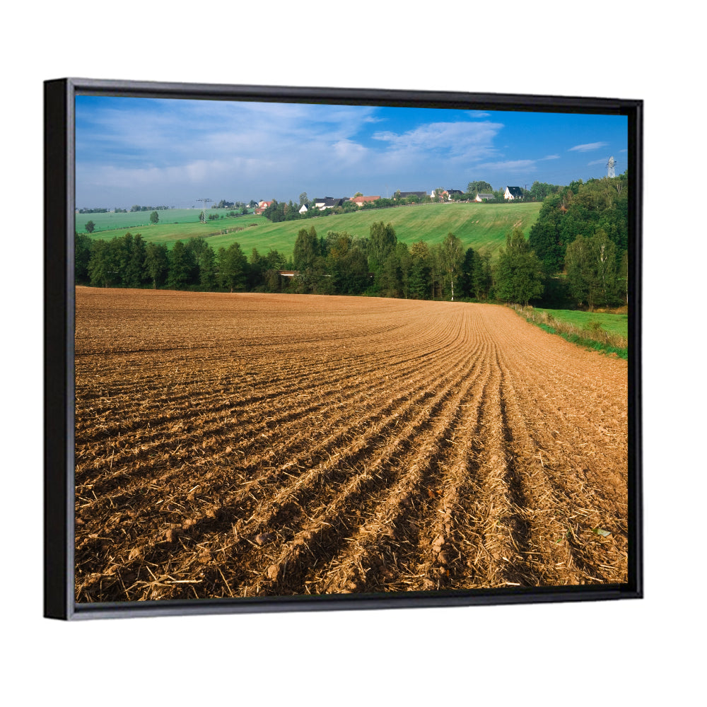 Kansas Wheat Fields Wall Art