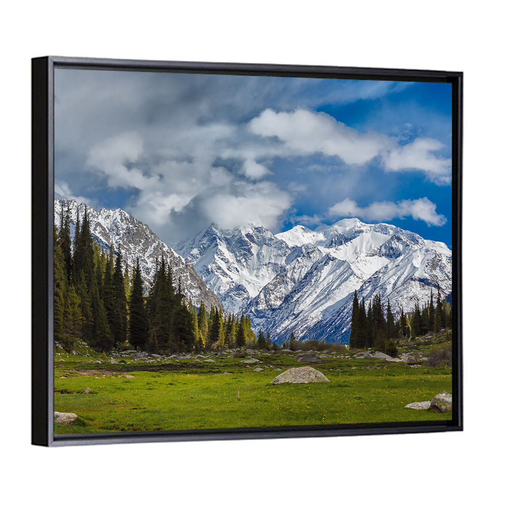 Ala Archa Meadow and Peaks Wall Art