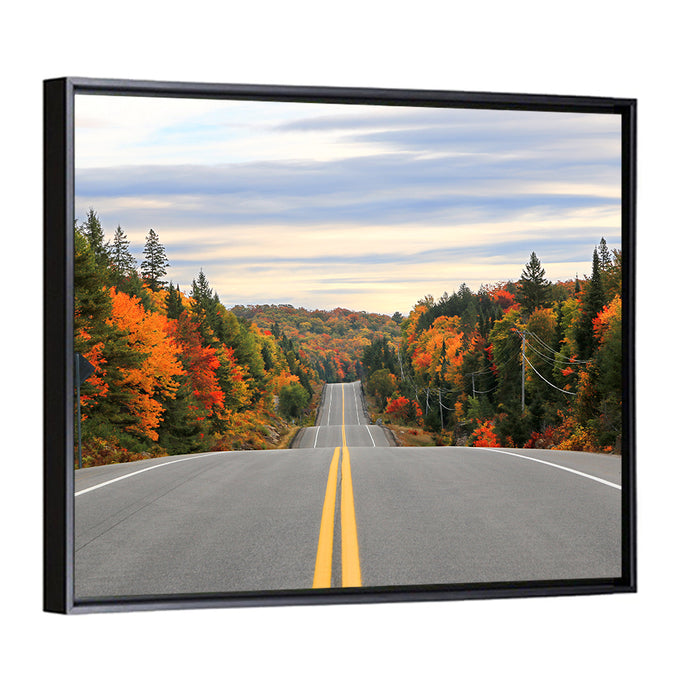 Algonquin Park Road Wall Art as a framed canvas