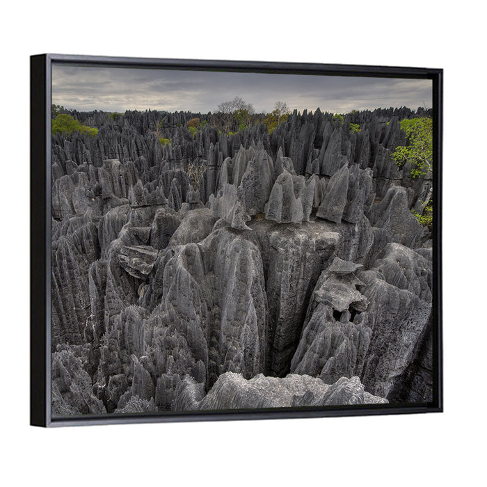 Tsingy De Bemaraha Pinnacles Wall Art as a framed canvas
