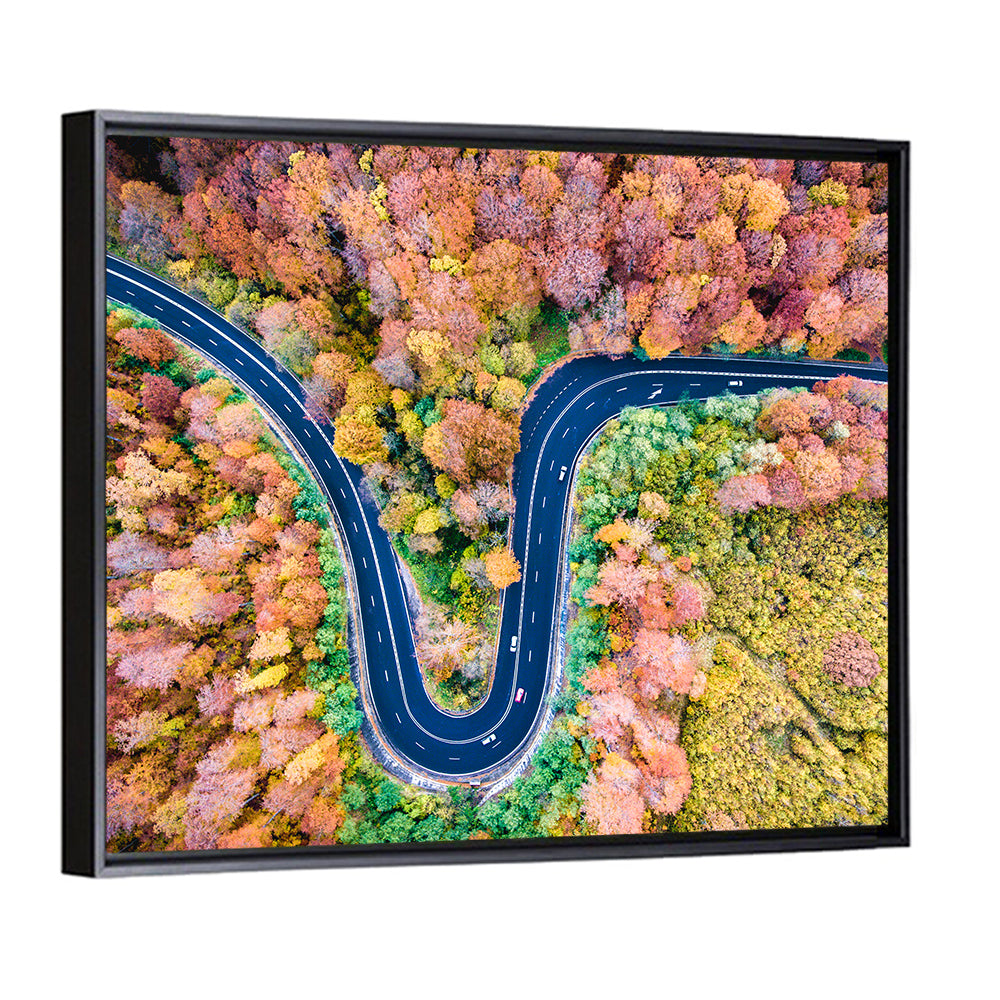 Winding Forest Road Wall Art