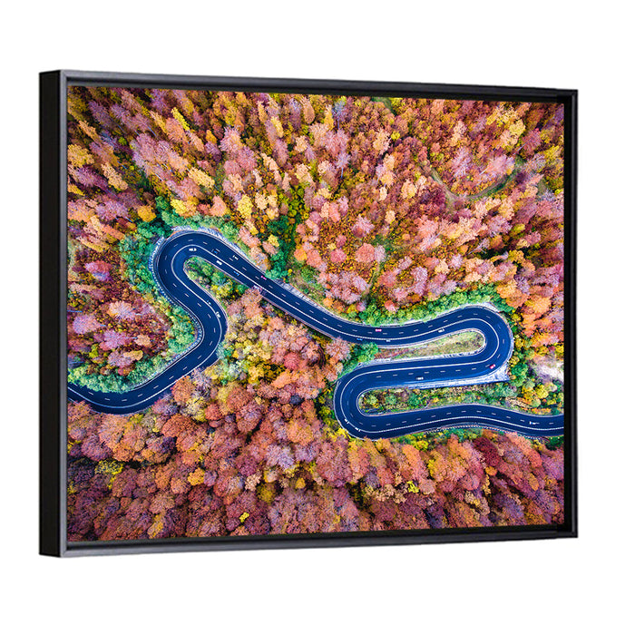 Aerial Winding Road Wall Art as a framed canvas
