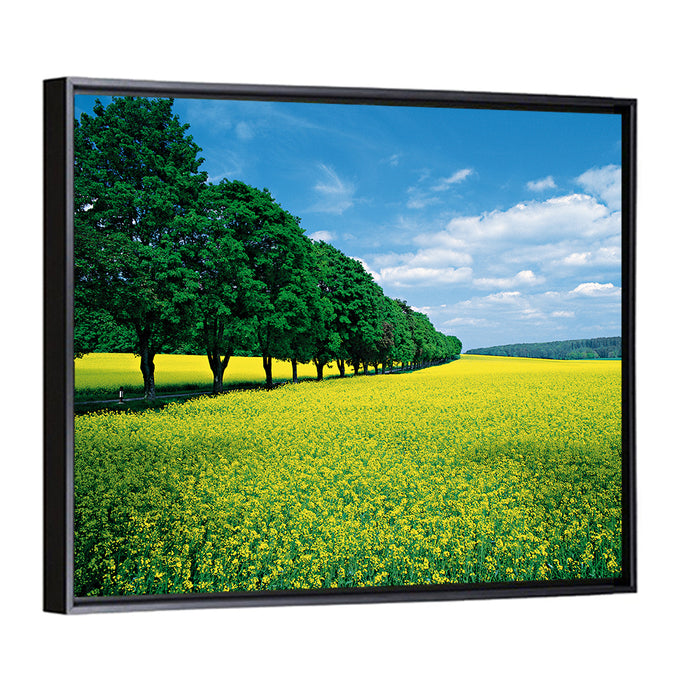 Spring Field of Yellow Flowers Wall Art as a framed canvas